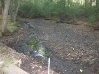 EmptyPond2.webp
