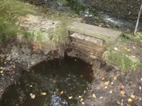 EmptyPond3.webp