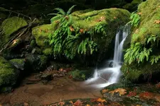 waterfall#3 014_RJ_2.webp