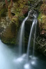 tokatee 042_RT8.webp