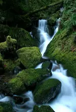 waterfall #4 010_RJ.webp