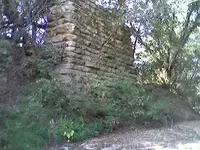 1007070948a[1].webp