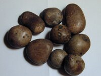 Potato Rocks 002.jpg