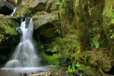 tokatee 2 033_RT8_3.webp