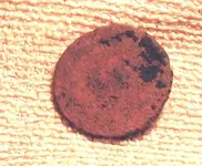 Finds_Aug_11_Button_front.webp
