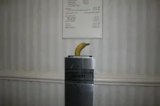 nana.webp