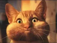hold-your-breath.webp