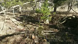20150206_134017.webp