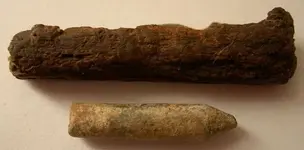 Stylus and Wood case..webp