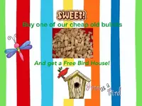 ImageUploadedByTreasureNet.com1426764932.460474.webp