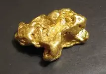 gold nugget.webp