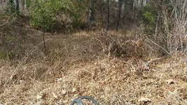 20150205_132411.webp