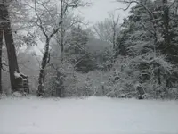 ForumRunner_20150302_182850.webp