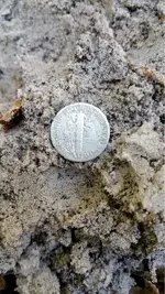 ImageUploadedByTreasureNet.com1423972315.894842.webp