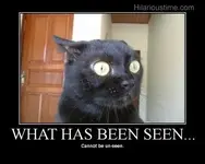 Funny-cat-with-big-eyes-motivational-poster1.webp