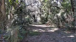 ImageUploadedByTreasureNet.com1423973502.526048.webp