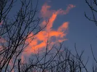 K1600_005.webp