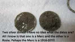 park finds 2-14-15 030.webp