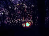 K1600_008.webp