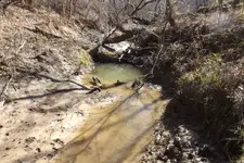 Creek from Hell 002.webp
