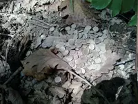 20130829_135452.webp