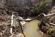 Creek from Hell 005.webp