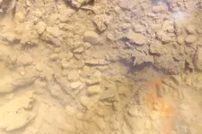 Creek from Hell 003.webp