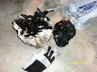 DSCF0842.webp
