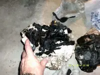 DSCF0843.webp