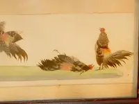 DSCN9457.webp