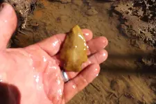 Creek from Hell 008.webp