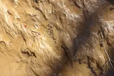 Creek from Hell 010.webp