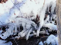 013.webp