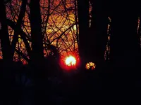 005.webp