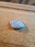 ImageUploadedByTreasureNet.com1424009151.034546.webp