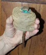 SPIKE 2 Edit.webp