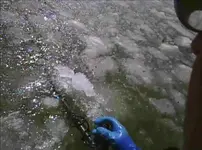 OBN0388.webp OBN0388.webp