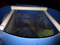 ImageUploadedByTreasureNet.com1425385133.130236.webp