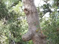 100_1345.webp
