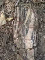 fine grained 015.webp