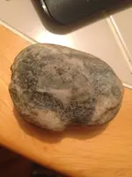 ImageUploadedByTreasureNet.com1424012171.845406.webp