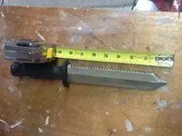 ImageUploadedByTreasureNet.com1426802843.303737.webp