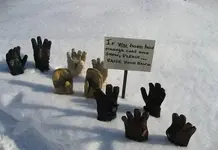 Handsup.webp