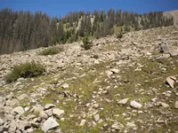 010.webp