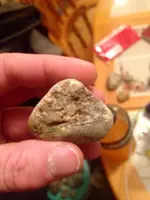 ImageUploadedByTreasureNet.com1424012333.583553.webp