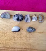 ImageUploadedByTreasureNet.com1424013419.542280.webp
