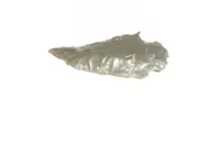 SAM_0573.webp