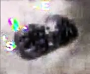 Old Man Treasure2b.webp