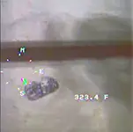 Old Man Treasure2a.webp