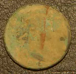 DSC05113.webp